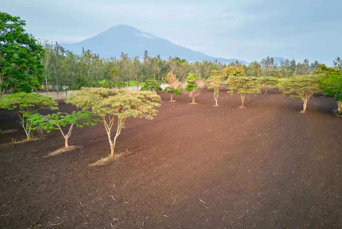 Plot for Sale at Mateves - Arusha. Road to AFCON stadium
