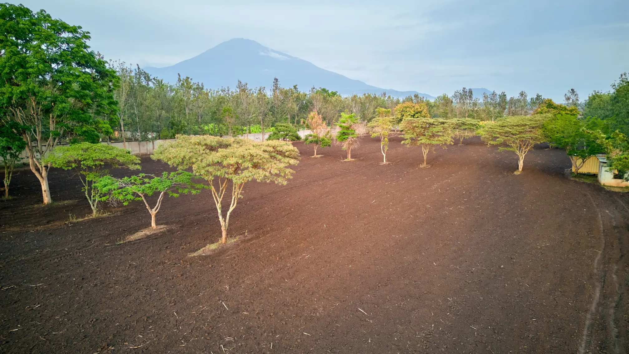 Plot for Sale at Mateves - Arusha. Road to AFCON stadium