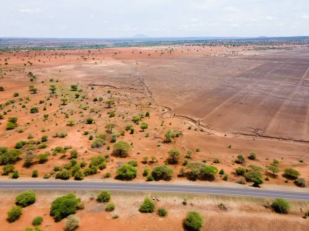 145.4 Acres Farm for Sale in Makuyuni, Arusha – Prime Roadside Agricultural Investment