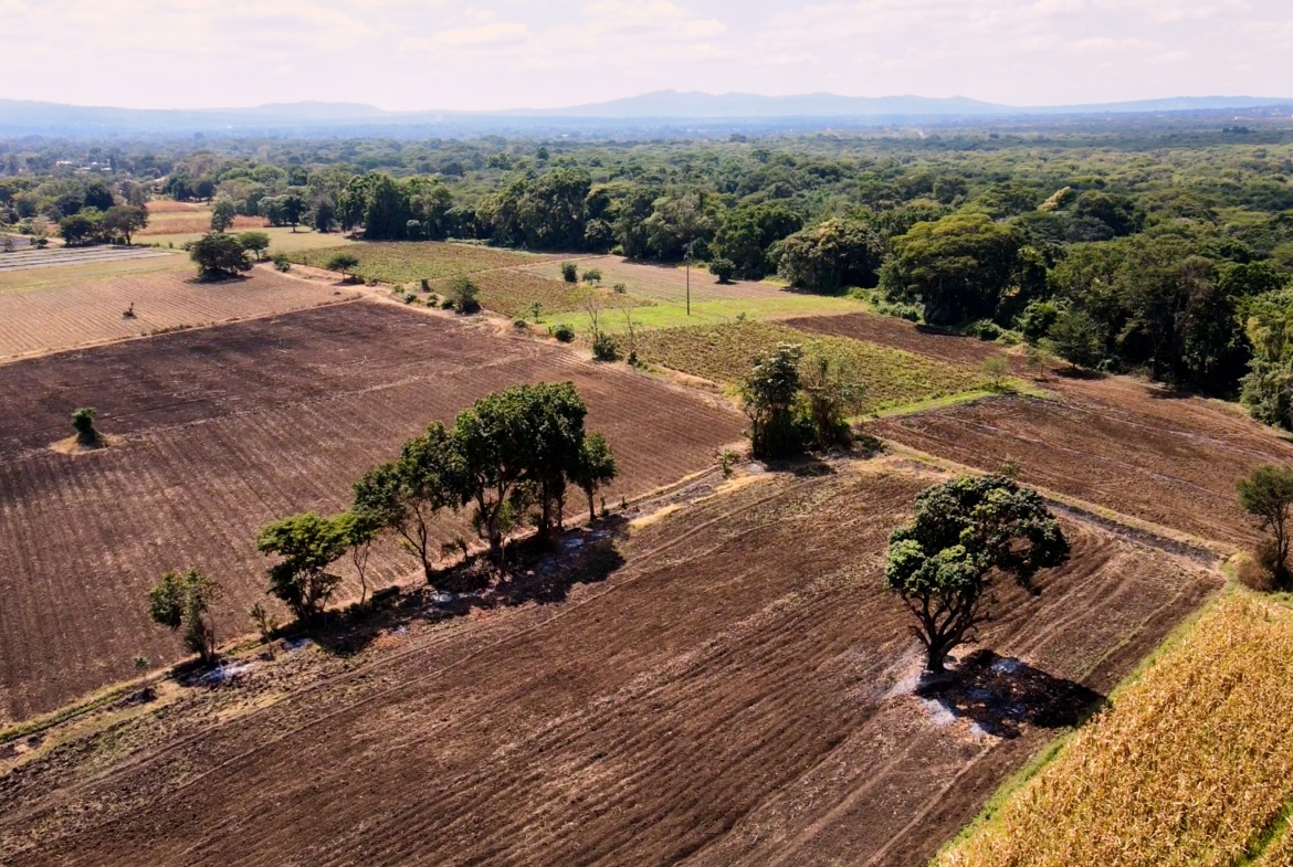 Farm for Sale in Usa River Arusha