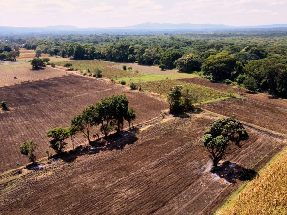Farm for Sale in Usa River Arusha