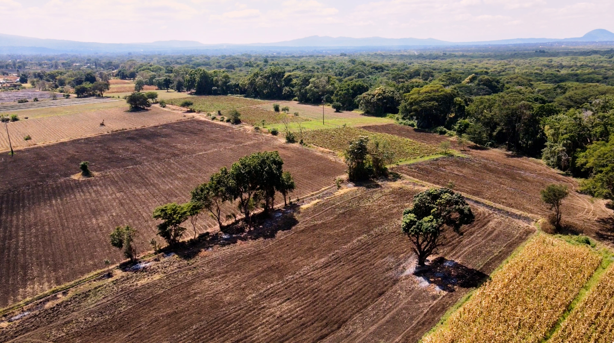 Farm for Sale in Usa River Arusha